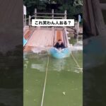 やばい🤣🤣#shorts #comedy #paxy #funny #foryou #sigma #お笑い #面白い #ショートムービー #ドッキリ #イタズラ #ぱくしードラマ #short